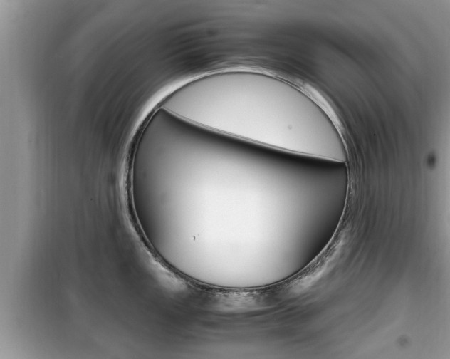 X0000099931149200805230954
