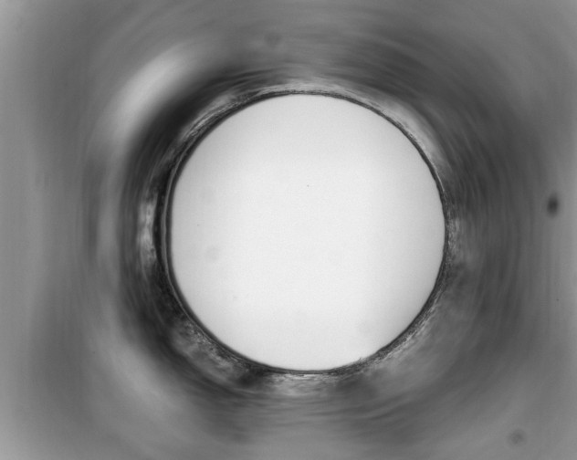 X0000099931150200805230954