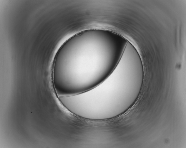 X0000099931152200805230954