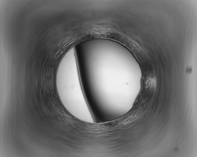 X0000099931156200805230953