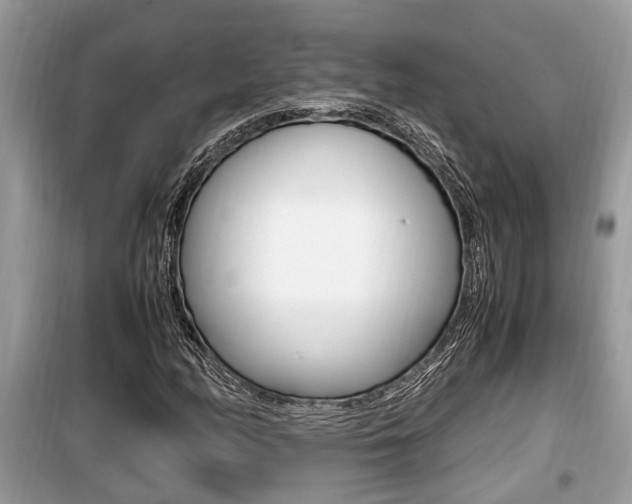 X0000099931158200805230953