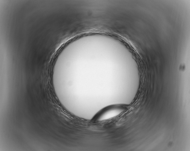 X0000099931160200805230953