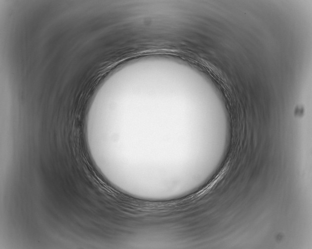 X0000099931161200805230953