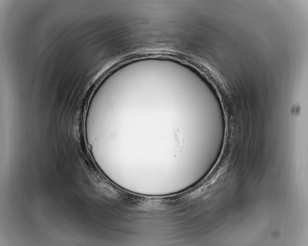 X0000099931162200805230953