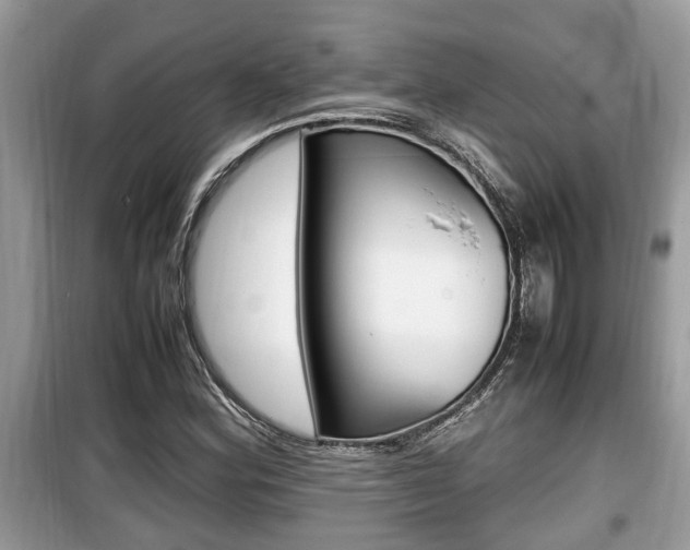 X0000099931164200805230953