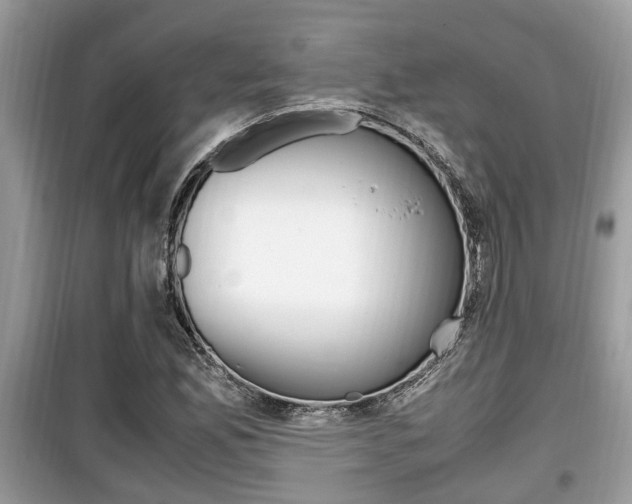 X0000099931165200805230953