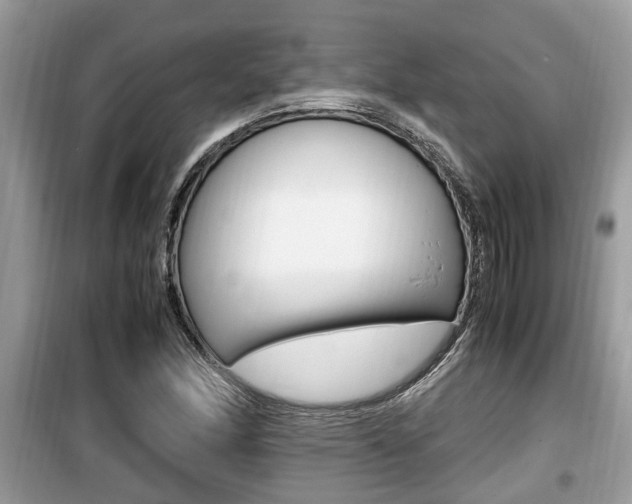 X0000099931166200805230953