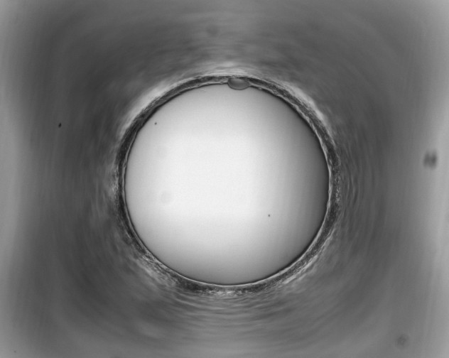 X0000099931167200805230953