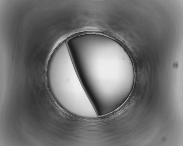 X0000099931168200805230953