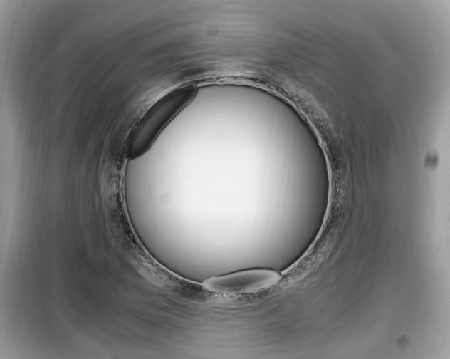 X0000099931169200805230953