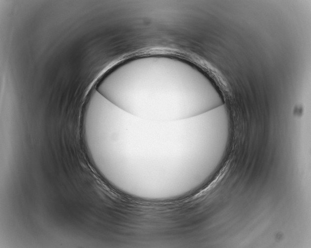 X0000099931170200805230953