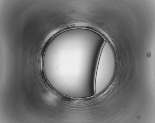 X0000099931171200805230953