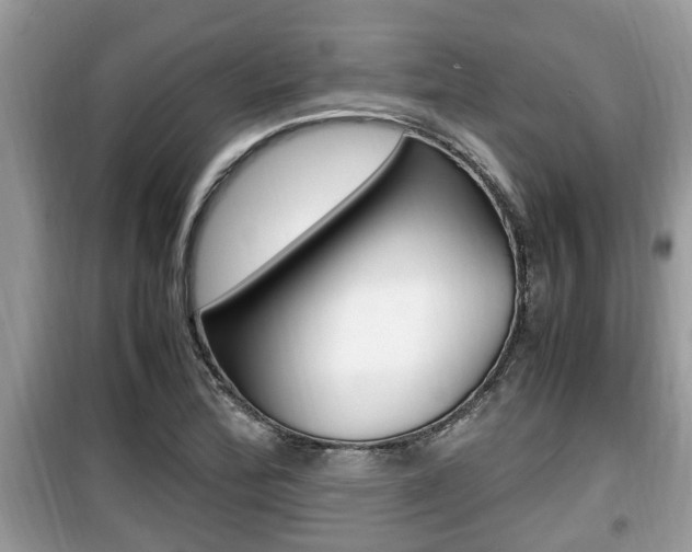 X0000099931172200805230953