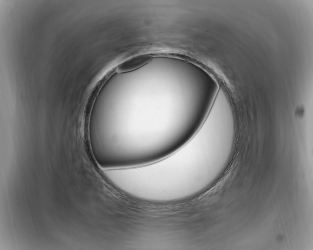 X0000099931173200805230953