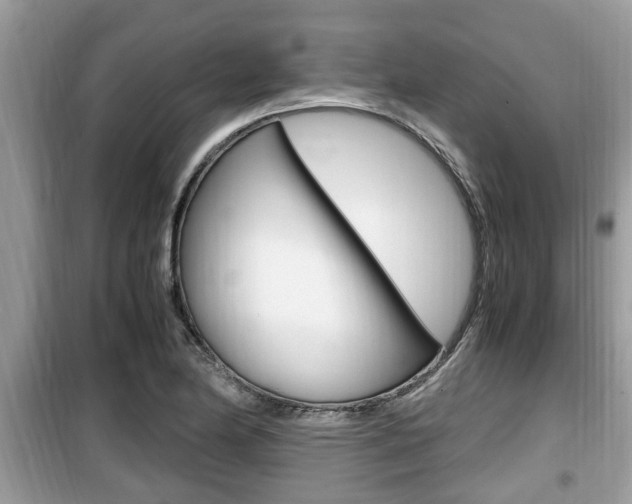 X0000099931174200805230953