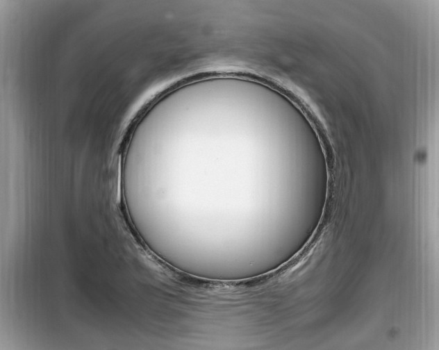 X0000099931175200805230953