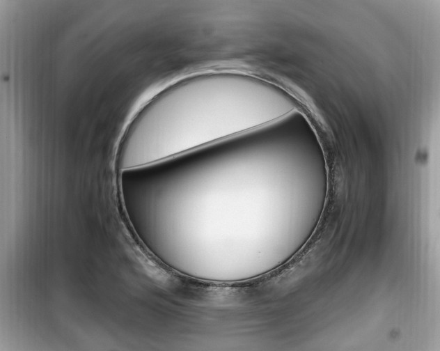 X0000099931176200805230953