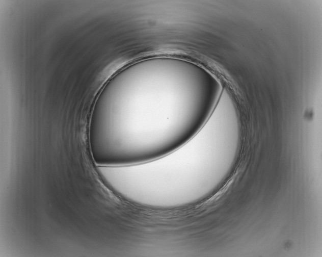 X0000099931177200805230953