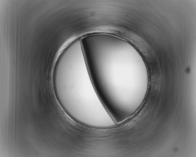 X0000099931180200805230953
