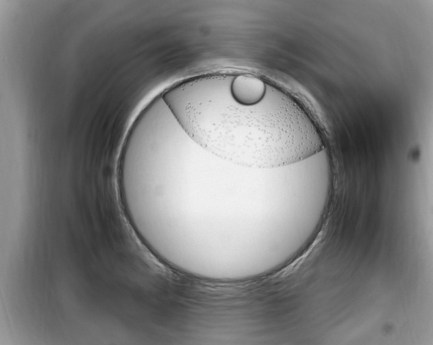 X0000099931182200805230953