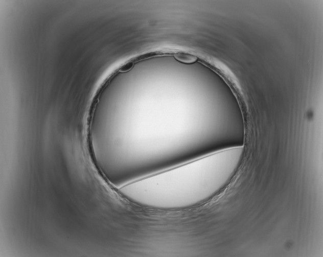 X0000099931183200805230953