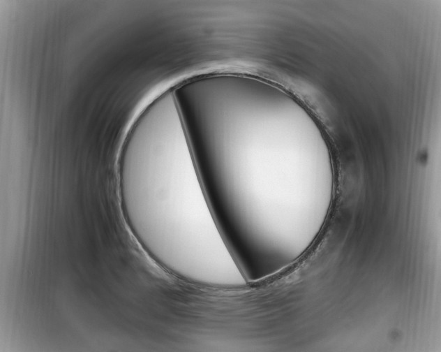 X0000099931184200805230953