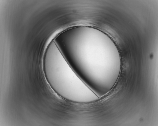 X0000099931188200805230953