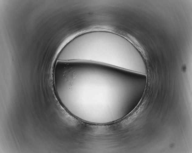 X0000099931192200805230953