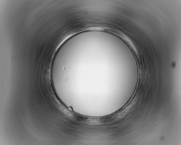 X0000099931194200805230953
