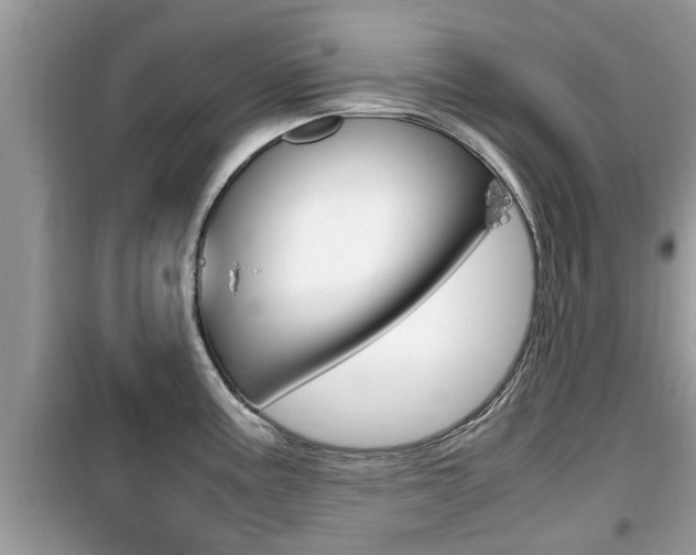 X0000099931195200805230953