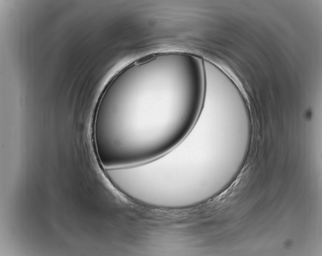 X0000099931197200805230953