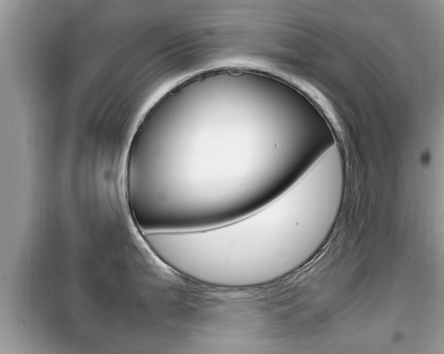 X0000099931199200805230953