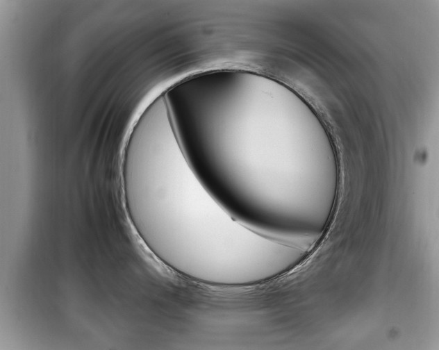 X0000099931200200805230953