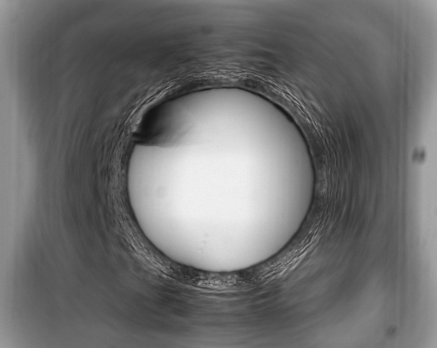 X0000099931201200805230952