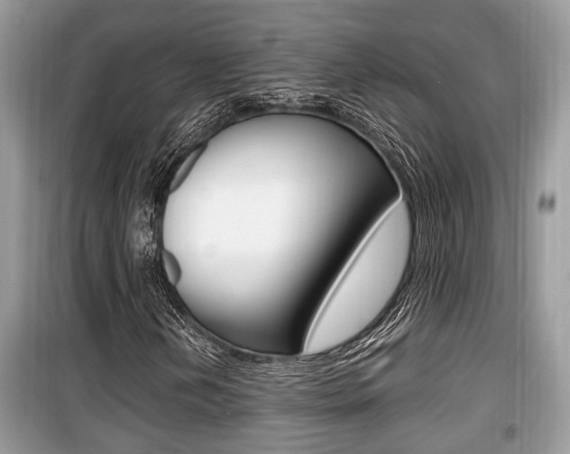 X0000099931202200805230952