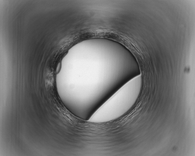 X0000099931204200805230952