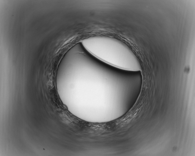 X0000099931205200805230952