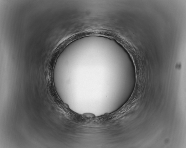 X0000099931206200805230952