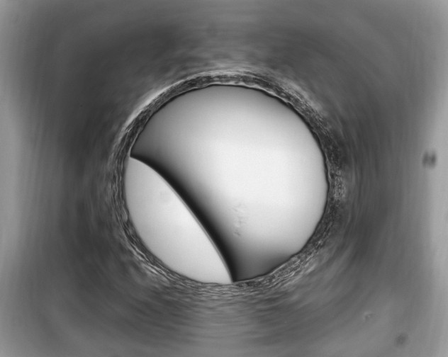 X0000099931208200805230952
