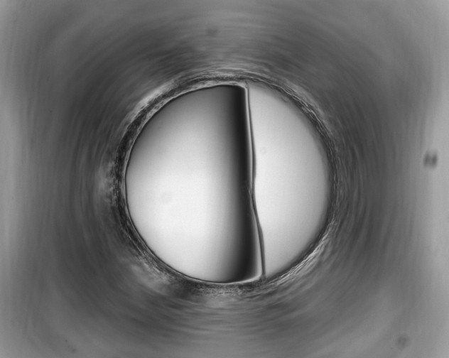 X0000099931210200805230952