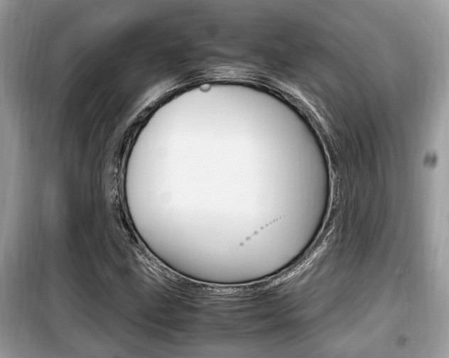 X0000099931211200805230952