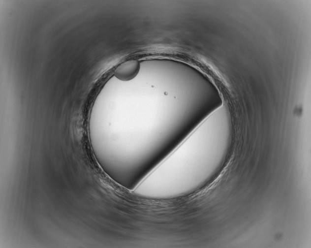 X0000099931213200805230952
