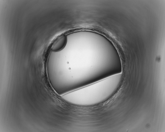 X0000099931214200805230952