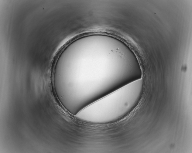 X0000099931216200805230952