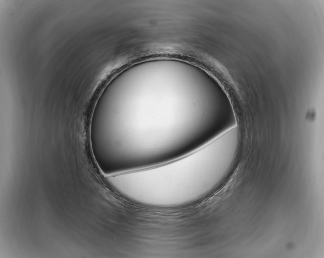 X0000099931218200805230952