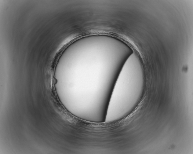 X0000099931219200805230952