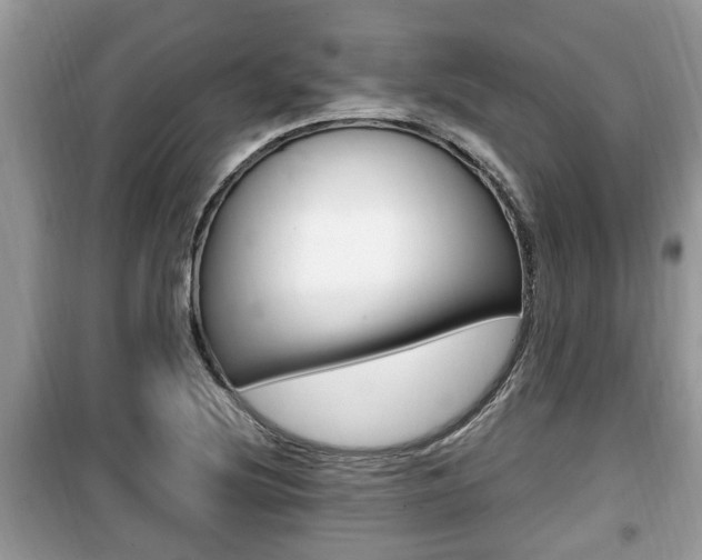 X0000099931220200805230952