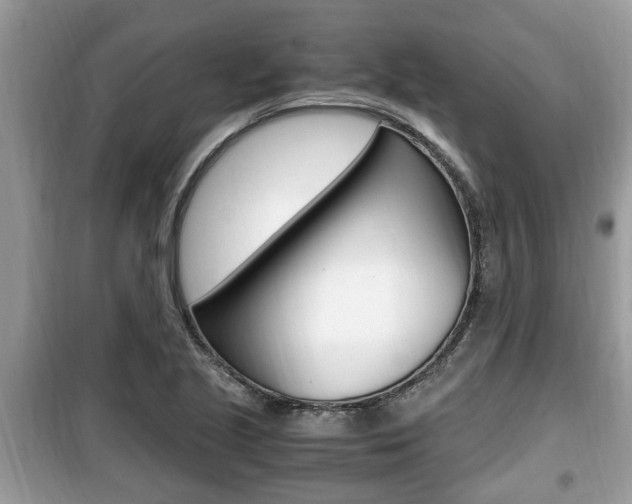X0000099931221200805230952