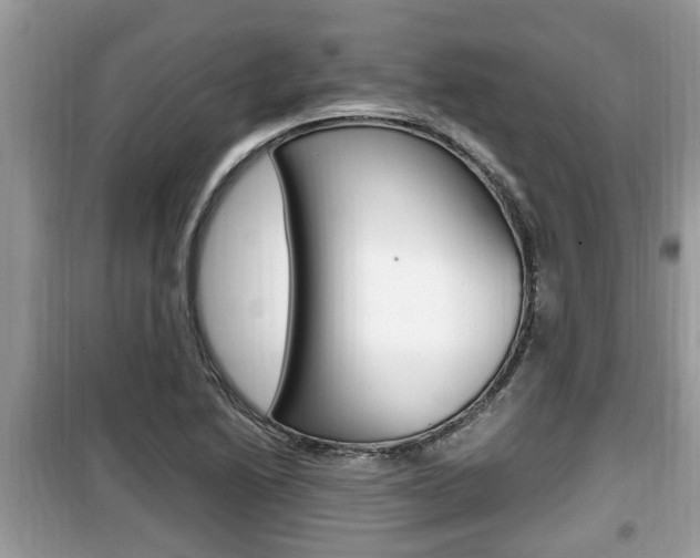 X0000099931222200805230952