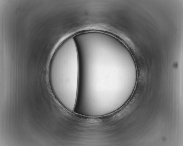 X0000099931224200805230952